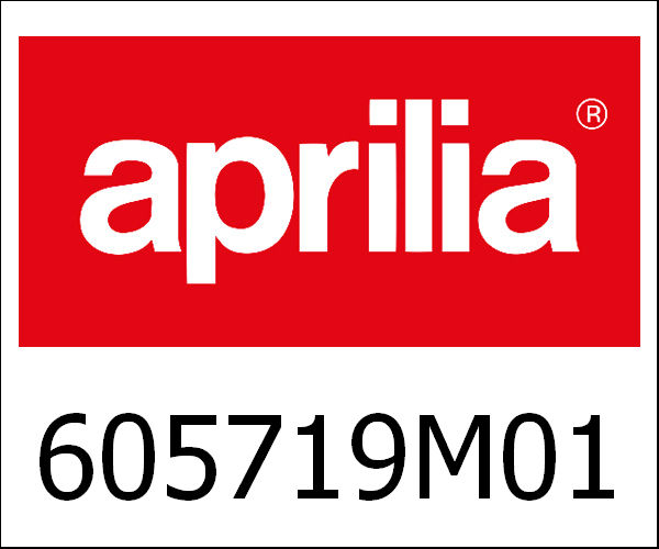 APRILIA / アプリリア純正 T-Shirt Vespa Dames Grijs Xs|605719M01G