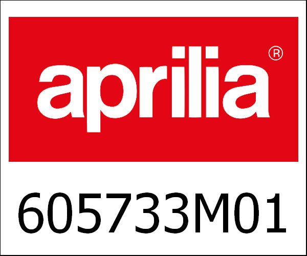 APRILIA / アプリリア純正 T-Shirt Vsp 946 Damen G.|605733M01G