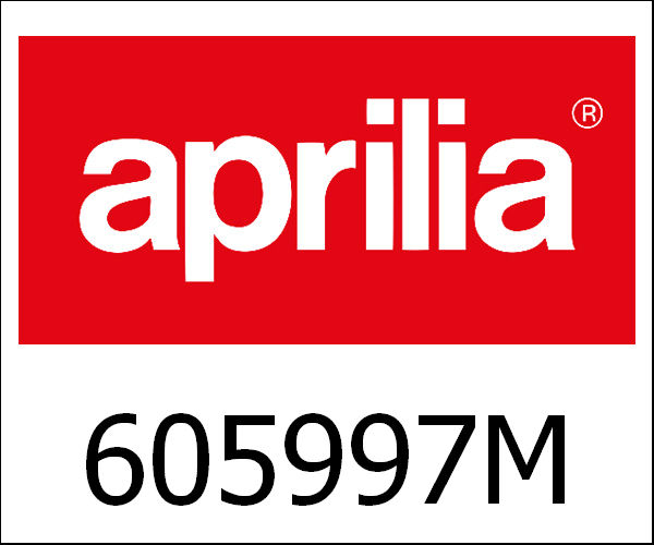 APRILIA / アプリリア純正 Couple Inner Bags 33 L|605997M