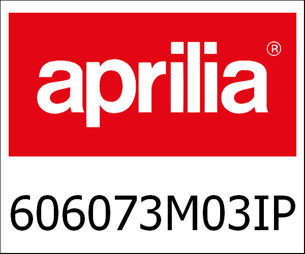 APRILIA / アプリリア純正 Helmet Italia Pride Cromo M|606073M03IP