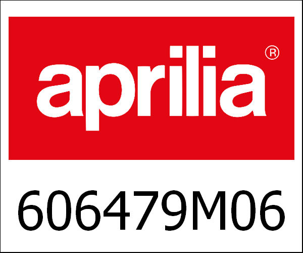 APRILIA / アプリリア純正 Felpa Cap Uomo Mg Garagegrey Size X|606479M06G