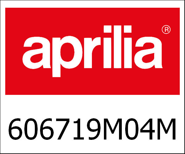 APRILIA / アプリリア純正 Mg Open House 2017 Helmet L|606719M04MG