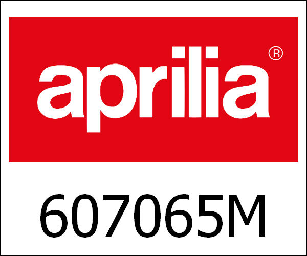 APRILIA / アプリリア純正 V85 Innentasche Top Case|607065M