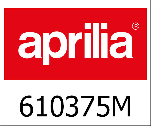 APRILIA / アプリリア純正 Silencer Vespa Px 200|610375M