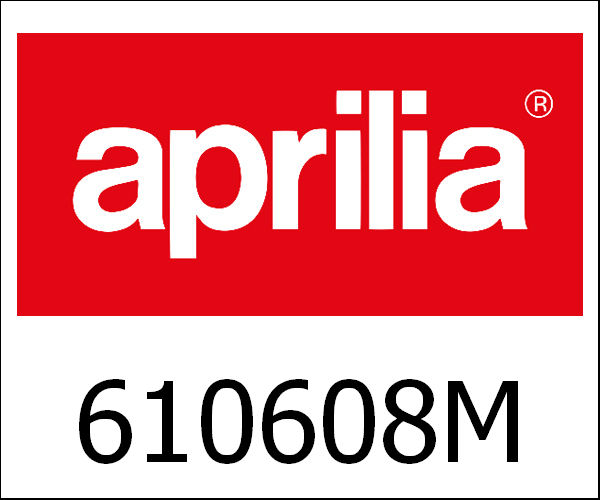 APRILIA / アプリリア純正 6 Rollers Kit 16X13 - 7 Gr|610608M