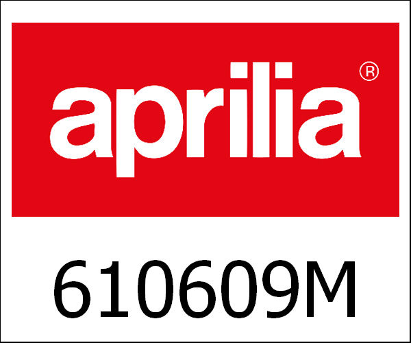 APRILIA / アプリリア純正 6 Rollers Kit 16X13 - 7,5 Gr|610609M