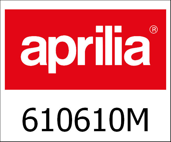 APRILIA / アプリリア純正 6 Rollers Kit 16X13 - 8,4 Gr|610610M