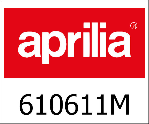 APRILIA / アプリリア純正 6 Rollers Kit 16X13 - 8,5 Gr|610611M