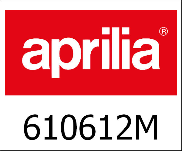 APRILIA / アプリリア純正 6 Rollers Kit 16X13 - 9 Gr|610612M