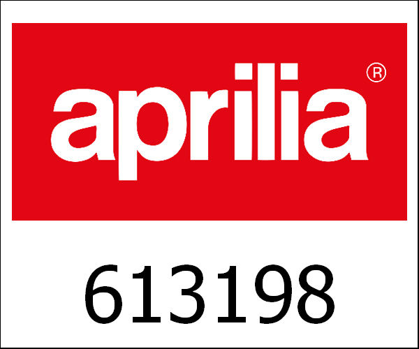 APRILIA / アプリリア純正 Slang|613198