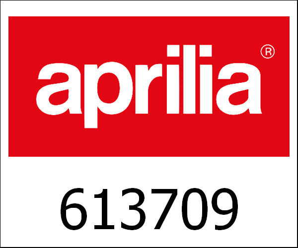 APRILIA / アプリリア純正 Plate Rr Body|613709