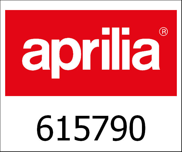 APRILIA / アプリリア純正 H.H.Screw(Ex.1/17309/24|615790