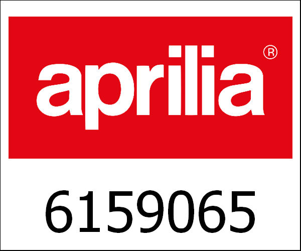 APRILIA / アプリリア純正 Panel Sub-Assy|6159065