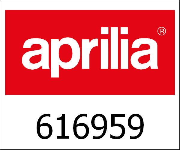 APRILIA / アプリリア純正 Water Delivery Pipe|616959