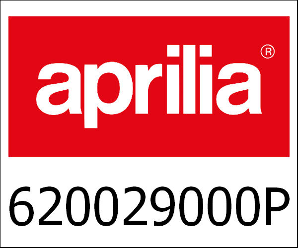 APRILIA / アプリリア純正 Achterspatbord M34|620029000P