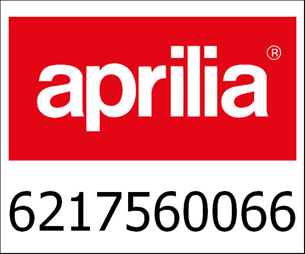APRILIA / アプリリア純正 Buddyseat Typhoon 2004 C29|6217560066