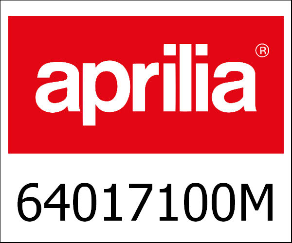 APRILIA / アプリリア純正 Right Handle Switch With Gas Control|64017100M9