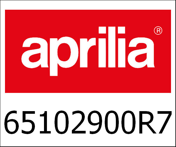 APRILIA / アプリリア純正 Front Fender|65102900R7
