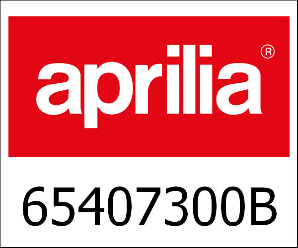 APRILIA / アプリリア純正 Advanced Frame Concept|65407300BH