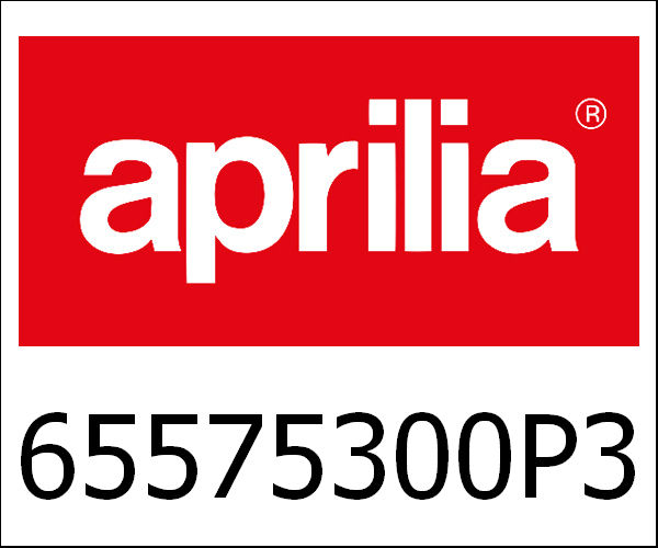 APRILIA / アプリリア純正 Front Fender|65575300P3