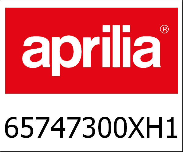 APRILIA / アプリリア純正 Rear Mudflat (Grey 746/B)|65747300XH1