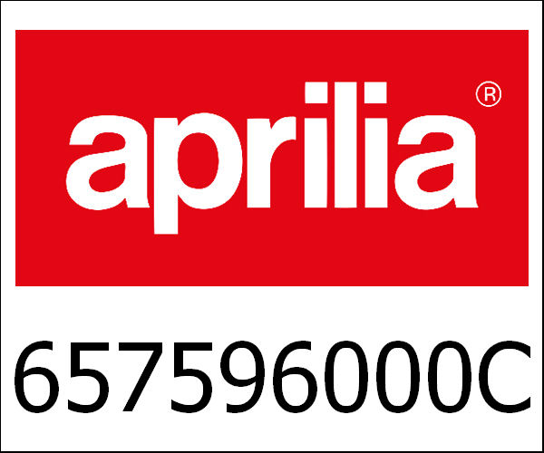 APRILIA / アプリリア純正 Achterdragerplaat|657596000C