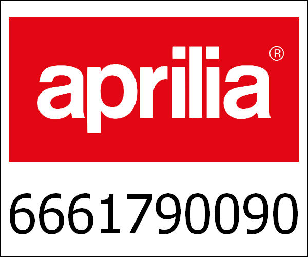 APRILIA / アプリリア純正 Achterwiel|6661790090
