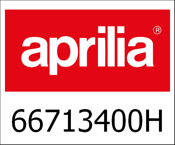 APRILIA / アプリリア純正 Front Fender Right Basalt Grey 705/C|66713400HP