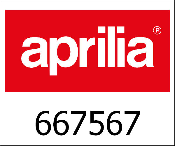 APRILIA / アプリリア純正 Standaardveer|667567