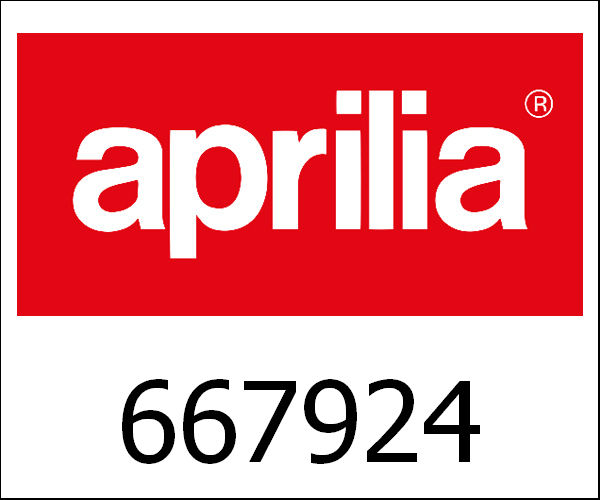 APRILIA / アプリリア純正 Rear Wheel (4,00X13")|667924