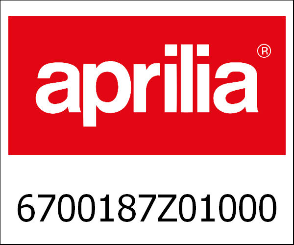 APRILIA / アプリリア純正 Panel Fr Door|6700187Z01000