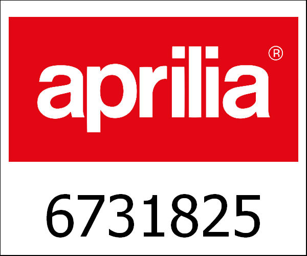 APRILIA / アプリリア純正 Rear Frame With I.P.|6731825