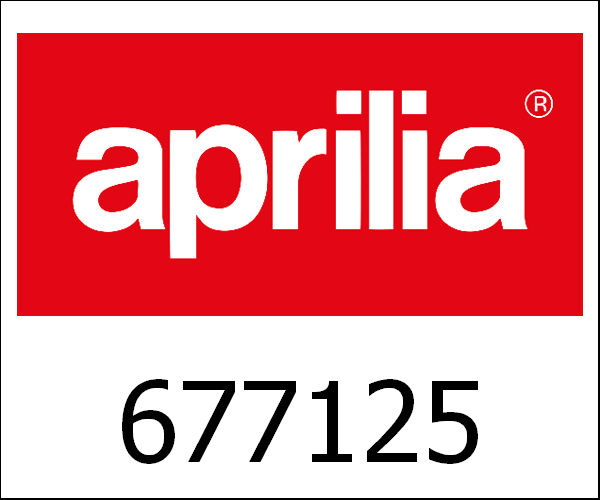 APRILIA / アプリリア純正 Name Plate|677125