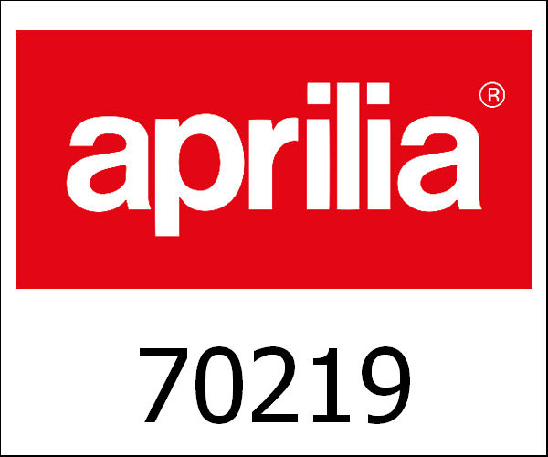 APRILIA / アプリリア純正 Steering Hub Pin Small Frames|70219