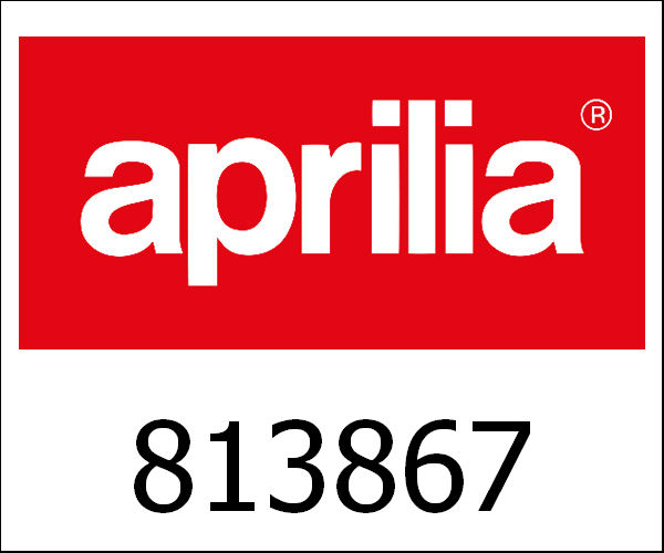 APRILIA / アプリリア純正 Gaskabel Vespino|813867