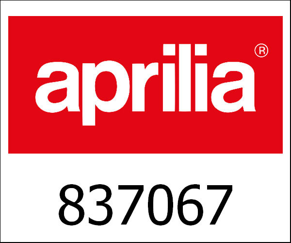APRILIA / アプリリア純正 Axial Body|837067