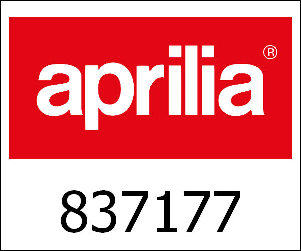 APRILIA / アプリリア純正 Axial Body|837177