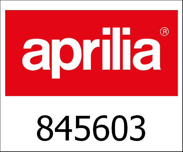 APRILIA / アプリリア純正 Gear Wheel Spindle With I.P.|845603