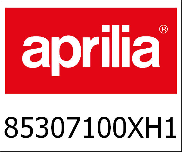 APRILIA / アプリリア純正 Rear Mudguard, Grey|85307100XH1