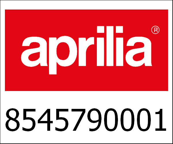 APRILIA / アプリリア純正 Fc1 Piston Assy. X-9 500|8545790001
