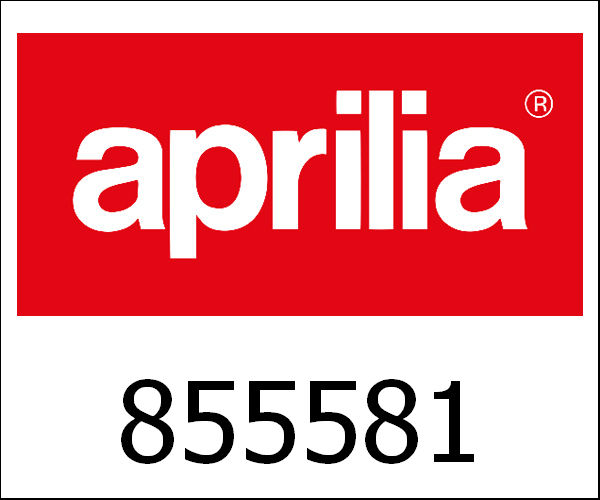 APRILIA / アプリリア純正 Frame|855581