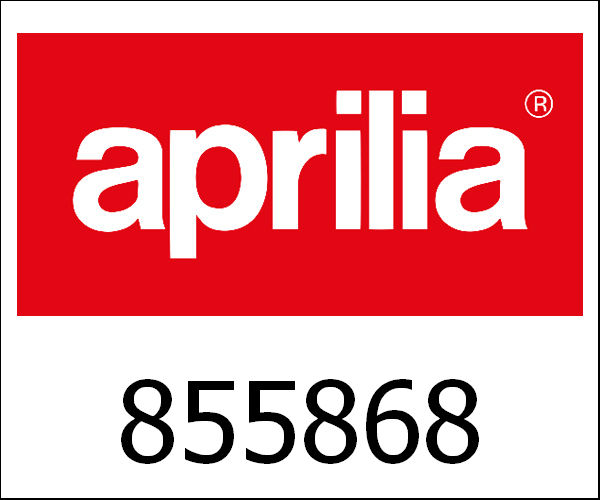 APRILIA / アプリリア純正 Silencer|855868