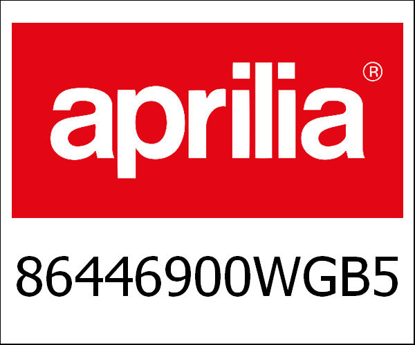 APRILIA / アプリリア純正 Swinging Arm|86446900WGB5