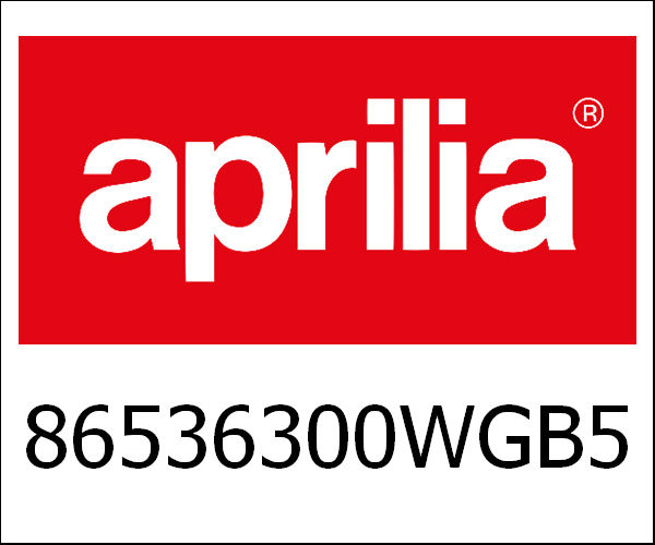 APRILIA / アプリリア純正 Swinging Arm|86536300WGB5