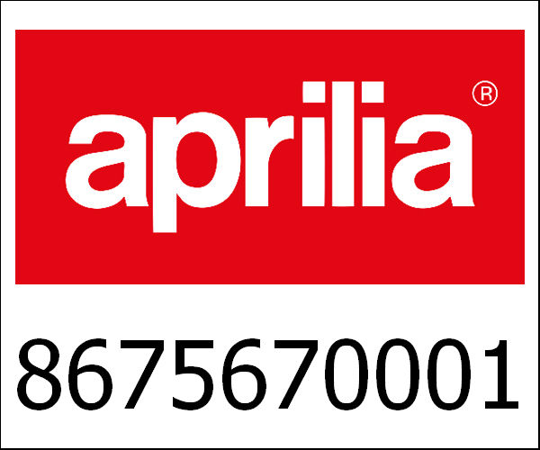 APRILIA / アプリリア純正 Rear Wheel|8675670001