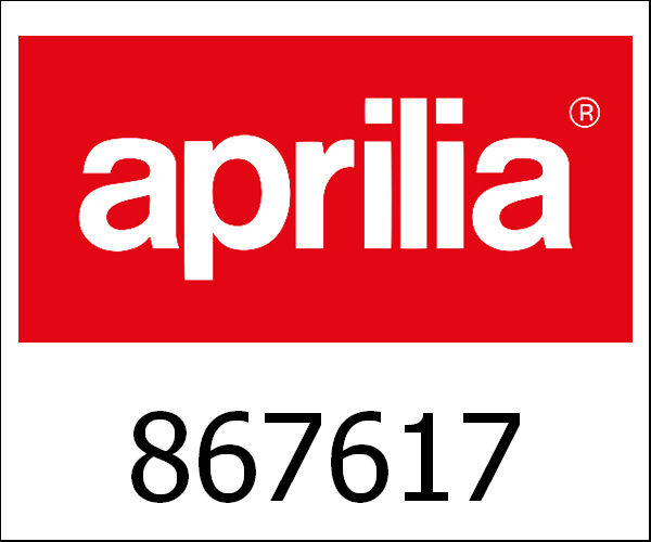 APRILIA / アプリリア純正 Brake Caliper Support Plate|867617