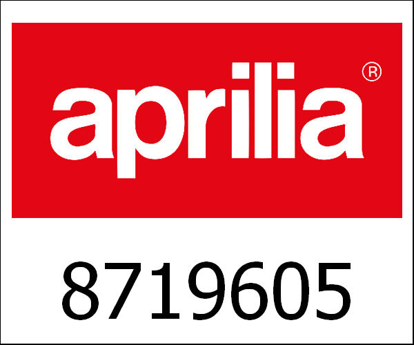 APRILIA / アプリリア純正 Uitlaat|8719605