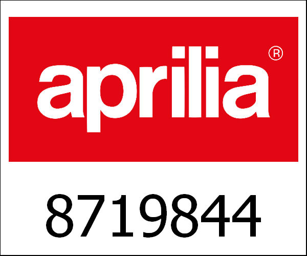 APRILIA / アプリリア純正 Silencer|8719844