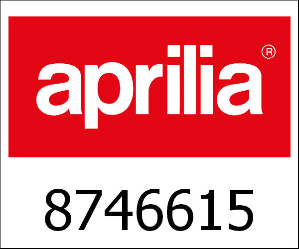 APRILIA / アプリリア純正 Silencer Assy|8746615
