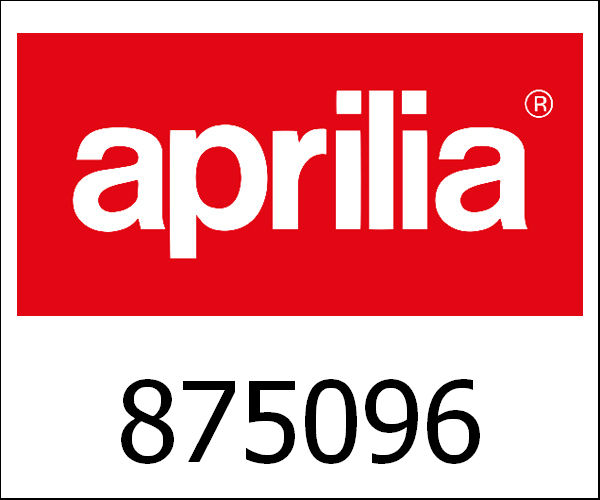 APRILIA / アプリリア純正 Circlip|875096